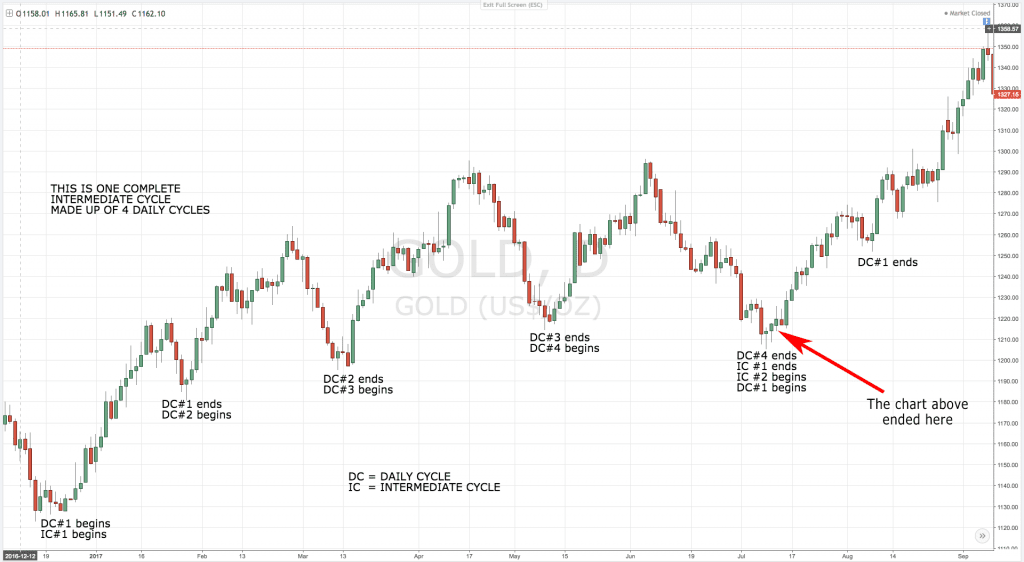 Wanderer Financial Chart 2